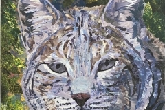 Bob the Cat