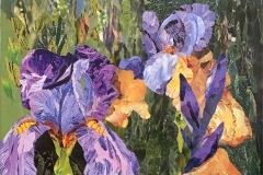 Irises