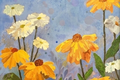 Susans and Daisies